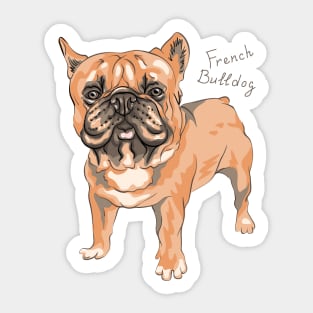 French Bulldog Sticker